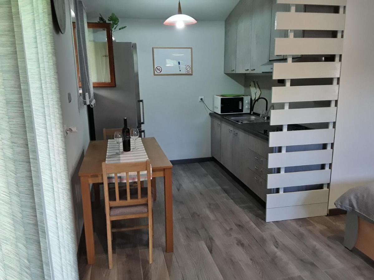 Apartman Studio Erin Rovinj Eksteriør bilde